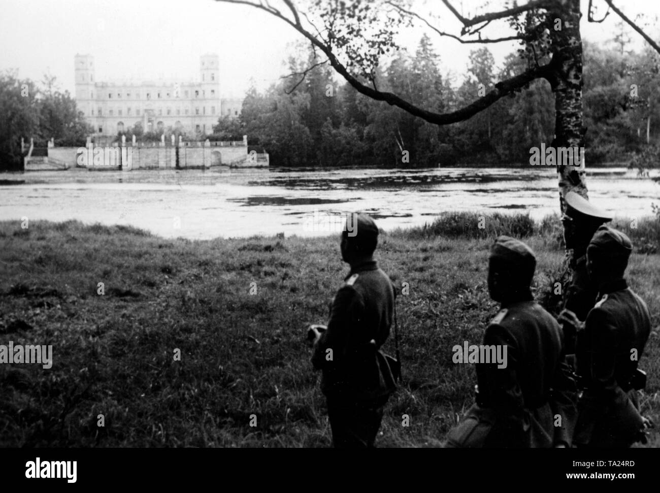 Spanische Offiziere Blick über den See von Palace Park. Die ehemalige Gatchina Palast in der Stadt, die den gleichen Namen (dann Krasnogwardeisk) wurde von der Wehrmacht für fast 2 1/2 Jahre beschäftigen. Foto der Propaganda Firma (PK): kriegsberichterstatter Hansen. Stockfoto