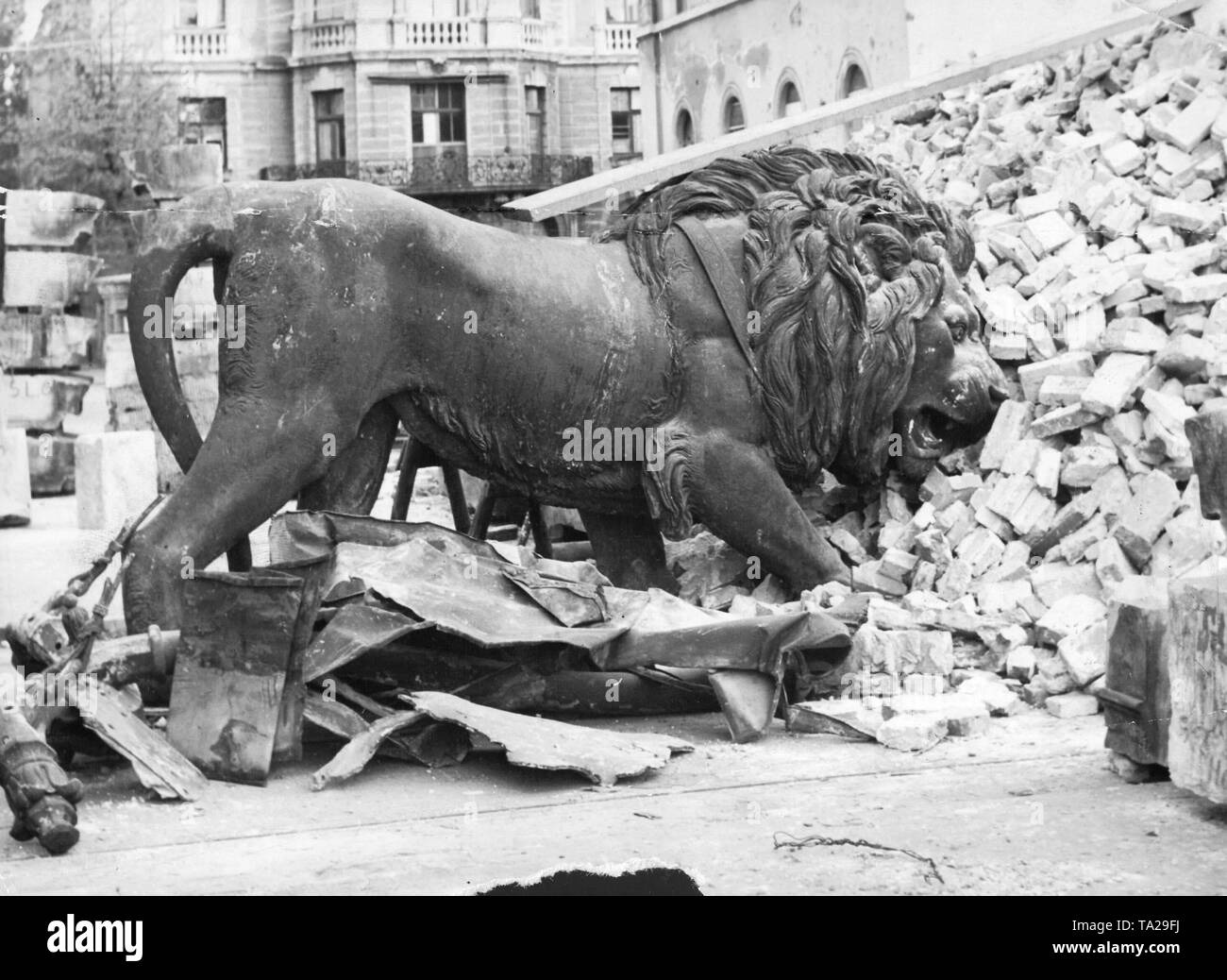 Der bayerische Löwe von der Münchner Sieg Tor in einem Haufen Schutt nach dem Zweiten Weltkrieg, 1945 Stockfoto