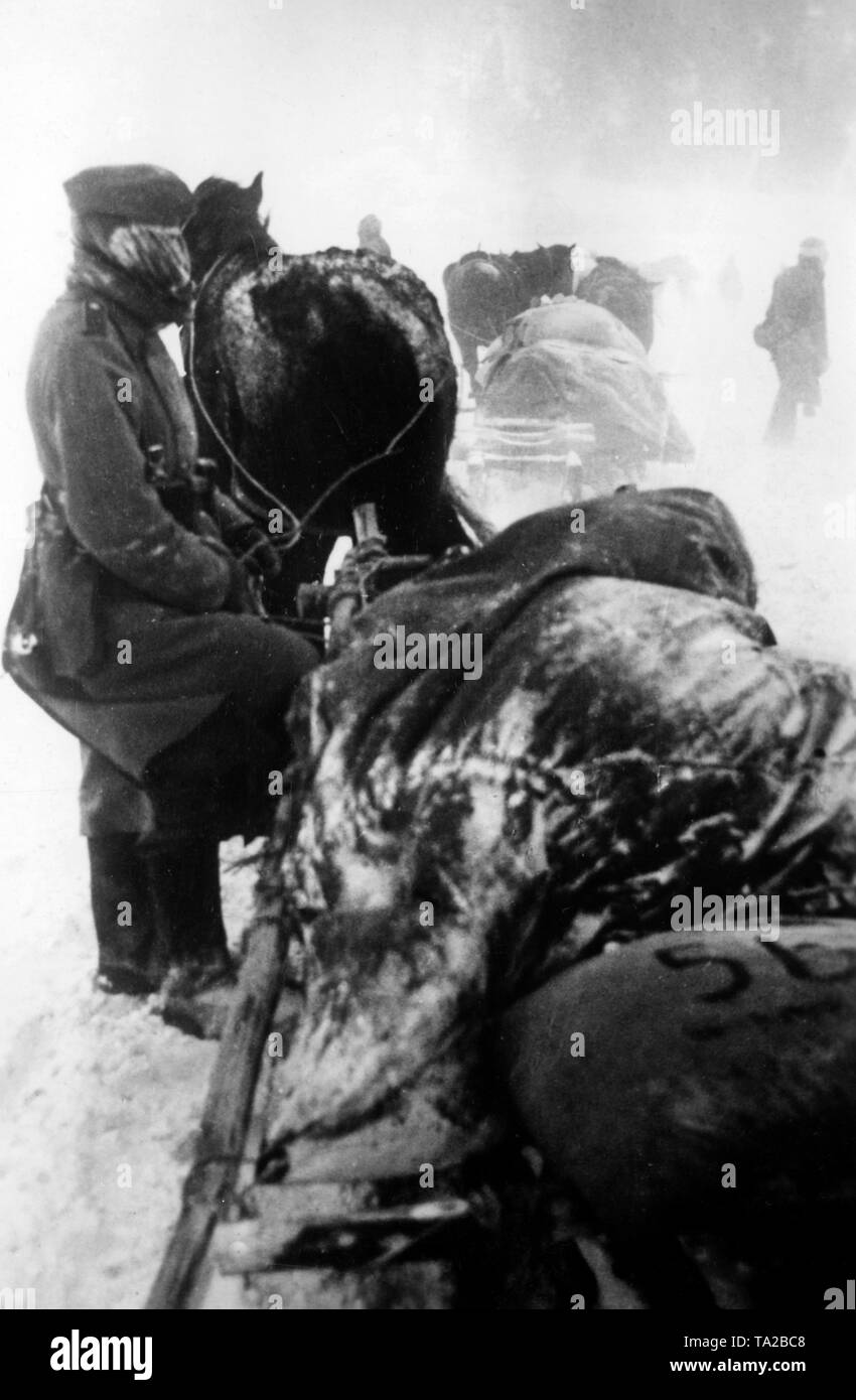 Pferdeschlitten im Bereich der Klin im mittleren Abschnitt der Ostfront im Winter Kämpfe nach dem Ende der Offensive in Richtung Moskau. (PK Foto: kriegsberichterstatter Bauer). Stockfoto