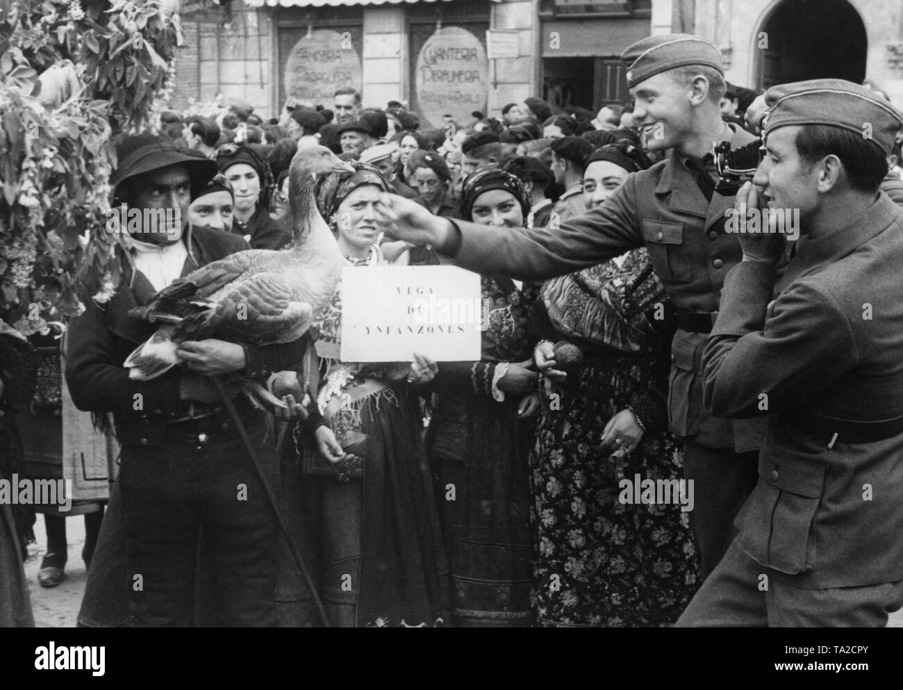 Foto von Feiern zu Ehren der Legion Condor und spanischen nationalen Verbände in der festlich geschmückten Straßen von Ciudad de Leon, Kastilien und Leon, am 22. Mai 1939. Ein Landwirt in einem traditionellen Kostüm präsentiert eine Gans zu zwei Soldaten. Zusätzlich zu einer Parade, eine traditionelle Trachtenumzug war auch organisiert. Wurde ein Triumphbogen zu Ehren der Legion eingeweiht. Stockfoto