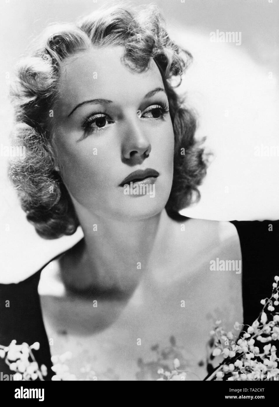 Porträt der amerikanischen Schauspielerin Rita Johnson. Sie hat curly Kinn Haar. Stockfoto