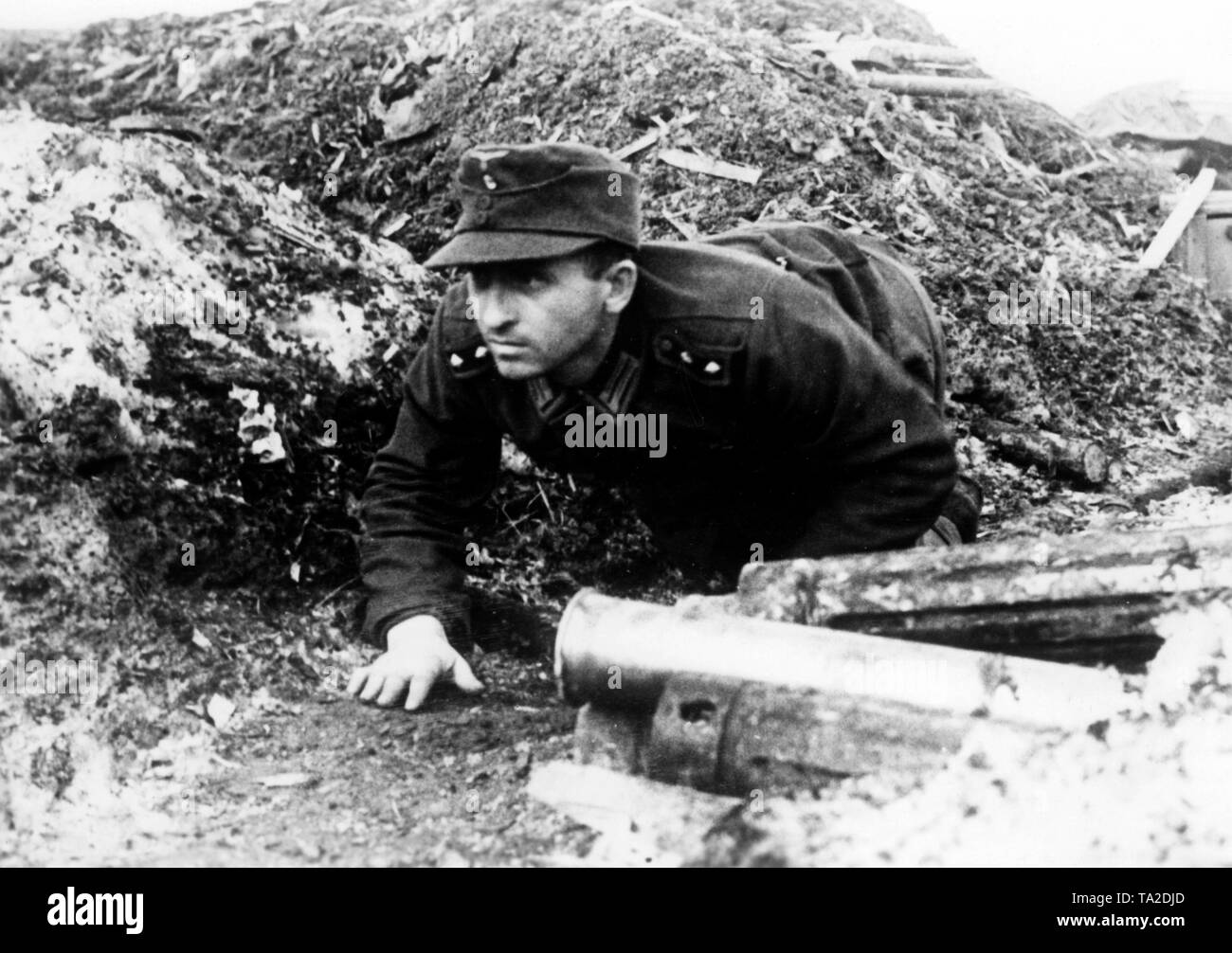 Ein Soldat der Wehrmacht kriecht langsam vorwärts auf einem Hügel südlich des Ladogasees. Foto der Propaganda Firma (PK): kriegsberichterstatter Ebert. Stockfoto
