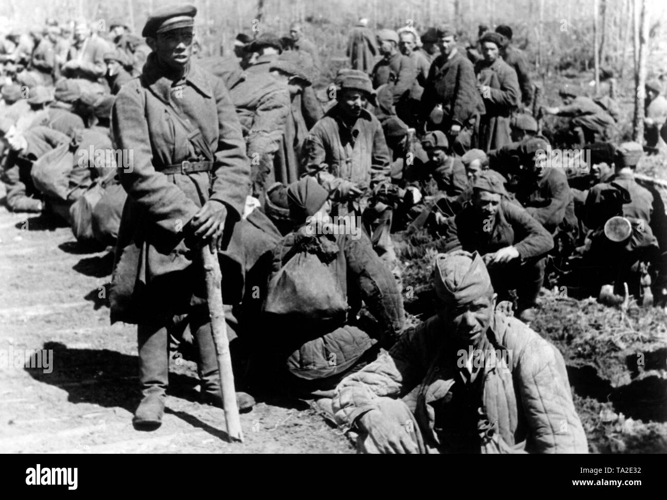 Sowjetische Kriegsgefangene in einem Lager im Nordabschnitt der Ostfront. Sie sind in der Nähe des Flusses Wolchow, nach dem Scheitern des sowjetischen spring Offensive (Lybuban offensive Operation) entfernt. Foto der Propaganda Firma (PK): kriegsberichterstatter Schuerer. Stockfoto
