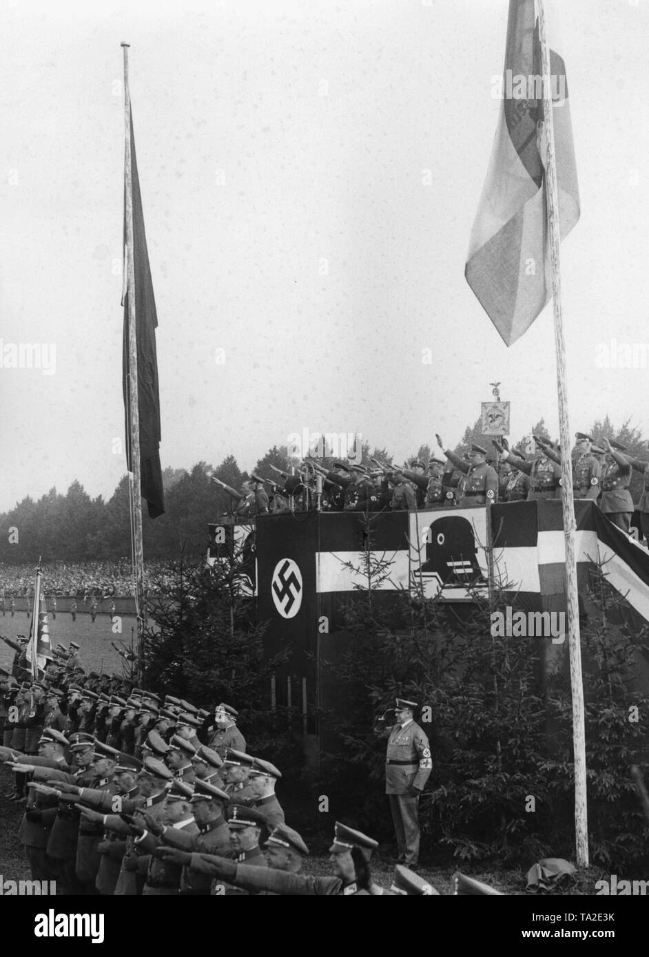Die Führer der Stahlhelm, die für eine Sitzung an der Masch in Hannover versammelt haben, begrüßen die Marschierenden flagbearers. 3. von rechts, die auf dem VIP stehen vor einem Standard, Bundesfuehrer (bundesvorsitzende) Franz Seldte. Stockfoto