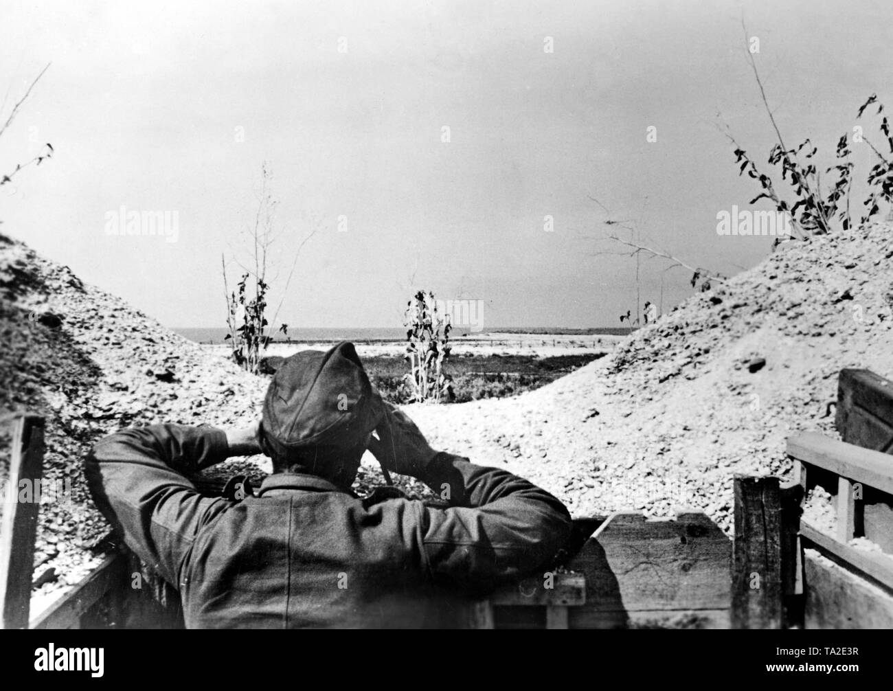 Ein deutscher Soldat beobachtet der Küste des Asowschen Meeres?? Mit dem Fernglas. Foto der Propaganda Firma (PK): kriegsberichterstatter Heuberger. Stockfoto