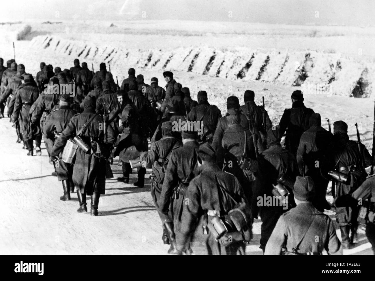 Deutsche Soldaten März entlang eines gefrorenen Straße südöstlich der Stadt Toropez. Foto der Propaganda Firma (PK): kriegsberichterstatter Lessmann. Stockfoto