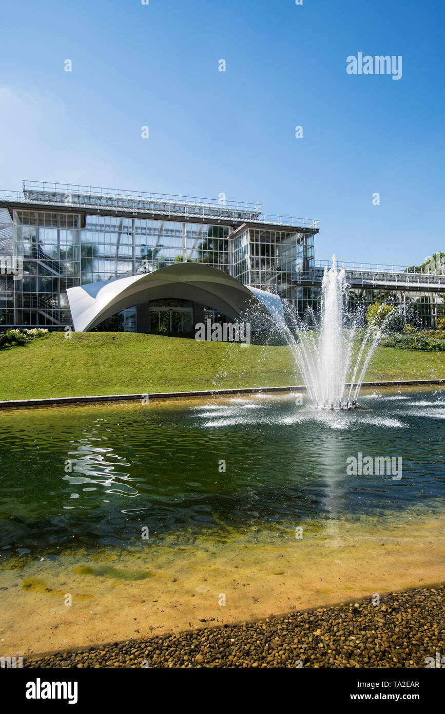 Das Gewächshaus Pflanze Palast am Botanischen Garten Meise/Plantentuin Meise in der Nähe von Brüssel, Belgien Stockfoto