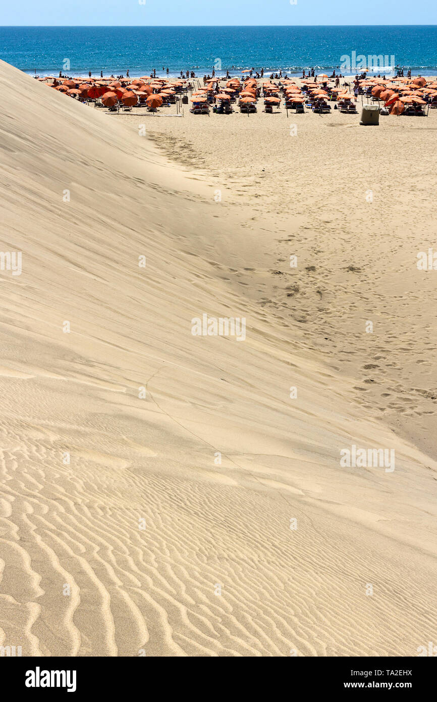 Gran Canaria - die Dünen, Maspalomas Naturschutzgebiet, im Hintergrund der berühmten Strand und das Meer. Kanarische Inseln, Spanien Stockfoto