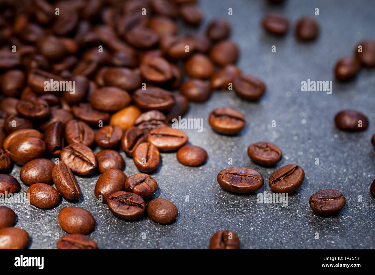 Kaffeebohnen auf grauem Schiefer Hintergrund. Close Up. Kopieren Sie Platz. Stockfoto