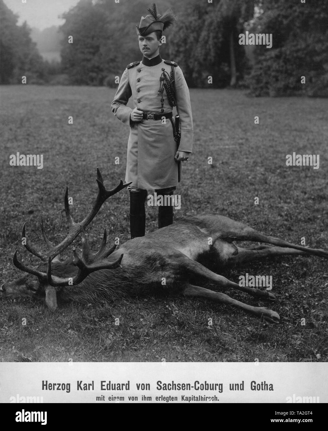 Herzog Carl Eduard, Herzog von Sachsen-Coburg und Gotha mit einem Reh getötet. Stockfoto