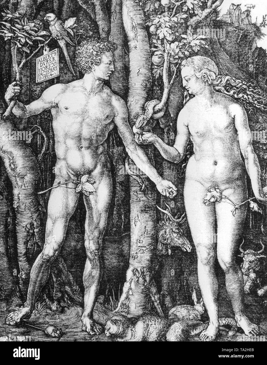 Der Fall von Adam und Eva im Paradies. Nach einem Stich von Albrecht Dürer aus dem Jahr 1504. Stockfoto