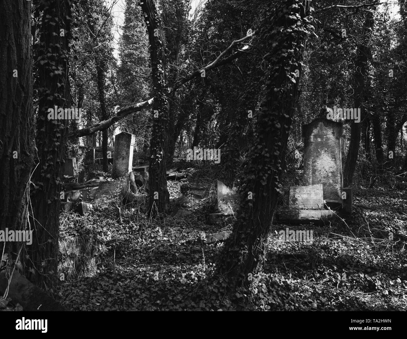 Schwarz-weiß Foto von Alter Jüdischer Friedhof in der Stadt von Tschenstochau in Polen Stockfoto