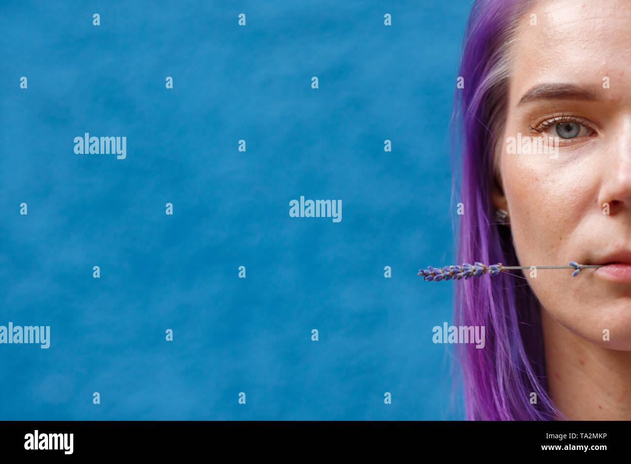 Nahaufnahme Einer Weiblicher Kopf Gefarbt Lila Haare Ein Lavendel Blume Mit Ihren Lippen Blauen Hintergrund Freespace Stockfotografie Alamy