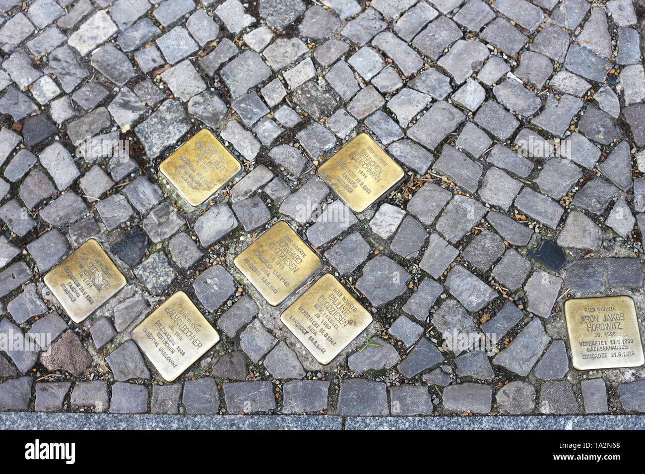 Die Aufzeichnung des jüdischen Genozids vor den Häusern der Verschwundenen in Berlin. In Berlin stehen Geschichte und Kunst unter unseren Füßen. Stockfoto