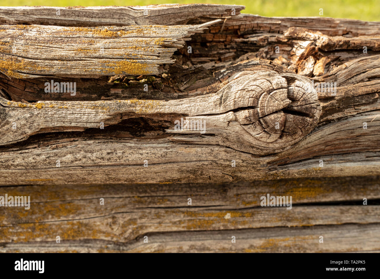 Astloch Alt Stockfotos und -bilder Kaufen - Alamy
