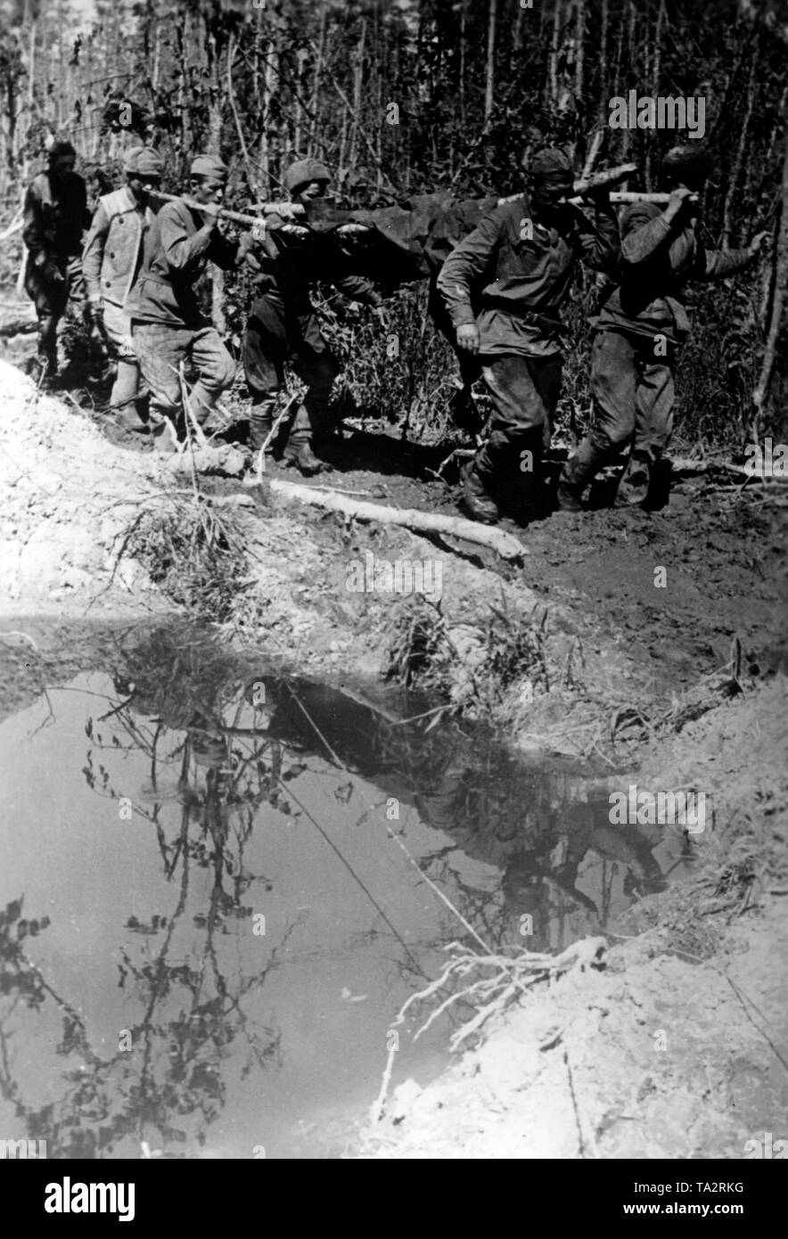Sowjetische Kriegsgefangene auf dem Weg in ein Arbeitslager. Ein verwundeter Mann ist, der durch seine Kameraden durchgeführt. Sie sind in den nördlichen Abschnitt der Ostfront entfernt am Fluss Wolchow, nach einem gescheiterten sowjetischen spring Offensive (Lybuban offensive Operation). Foto der Propaganda Firma (PK): kriegsberichterstatter Schuerer. Stockfoto