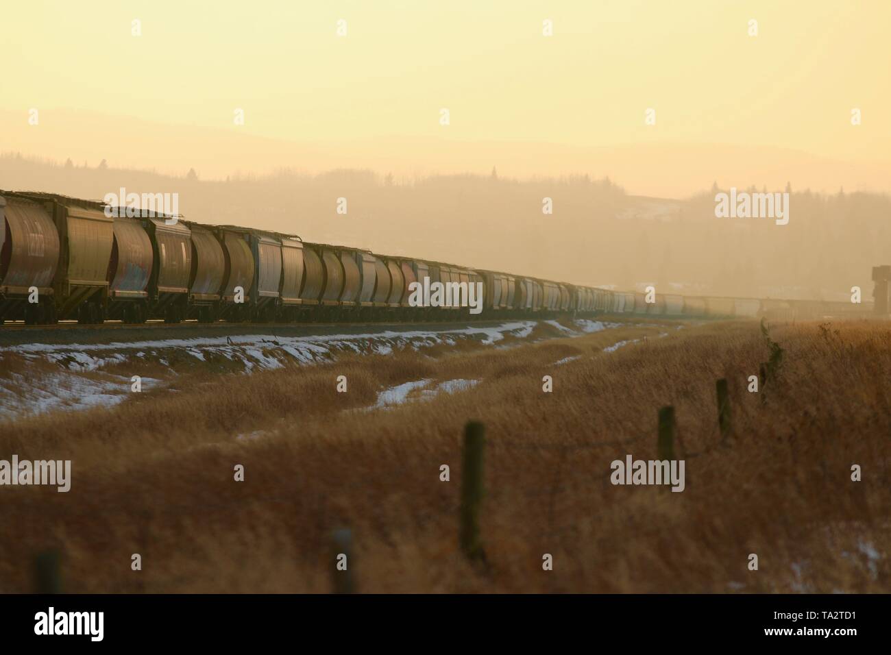 Eisenbahn in Alberta Stockfoto