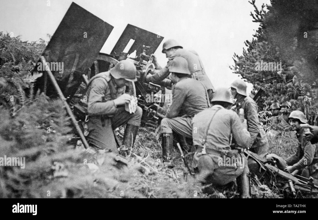 Foto von einem Feld haubitze von Spanischen Nationalen regulären Soldaten betrieben. Die grenadiere Uniformen und Helme. Im Hintergrund, eine zweite artilleriegeschützen. Die getarnt in einem verlassenen Wald. Stockfoto