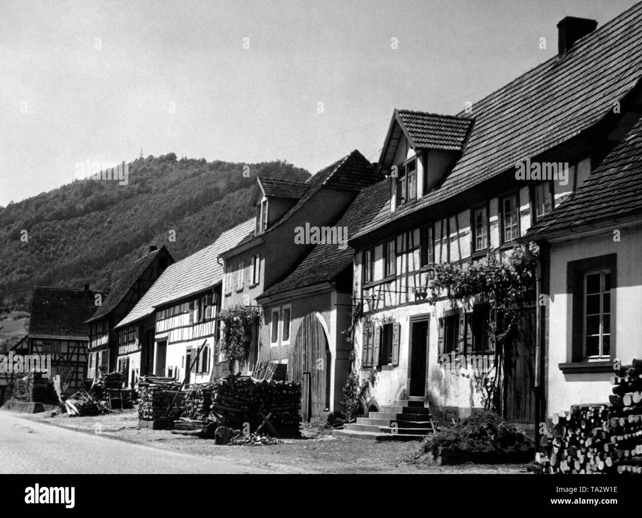 Die Hauptstraße mit Fachwerkhäuser in Rhinnthal in Rheinland-Pfalz. Stockfoto