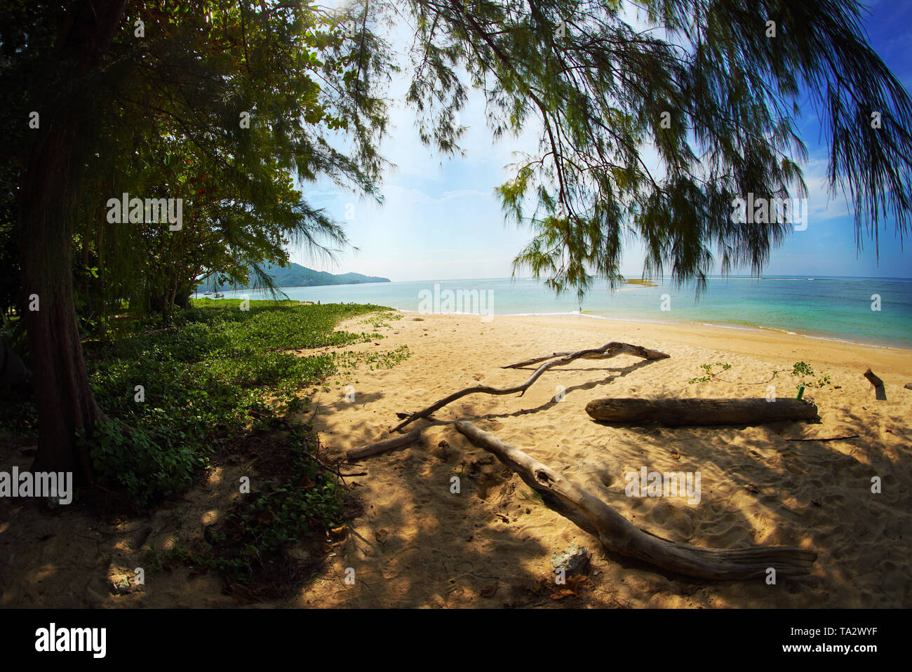 Schöne Naiyang-strand an Sirinat National Park auf der Insel Phuket in Thailand, Asien Stockfoto