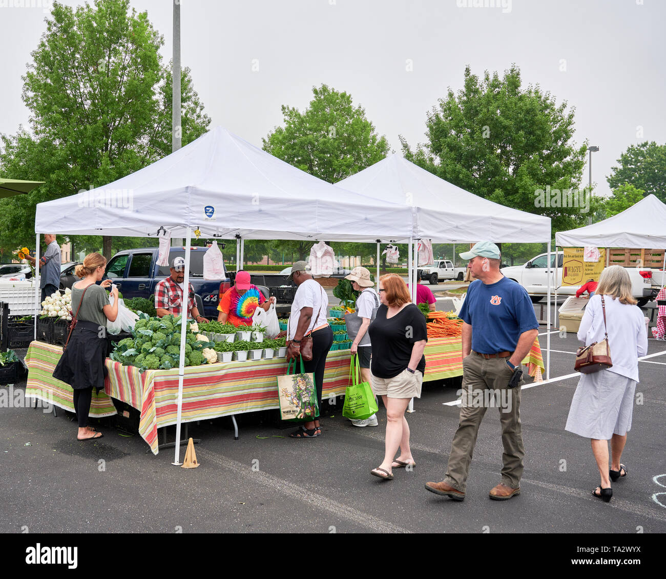 Der kleine Bauernmarkt mit Anbietern verkaufen frisches Obst und Gemüse die Shoppes in Eastchase, Montgomery Alabama, USA. Stockfoto