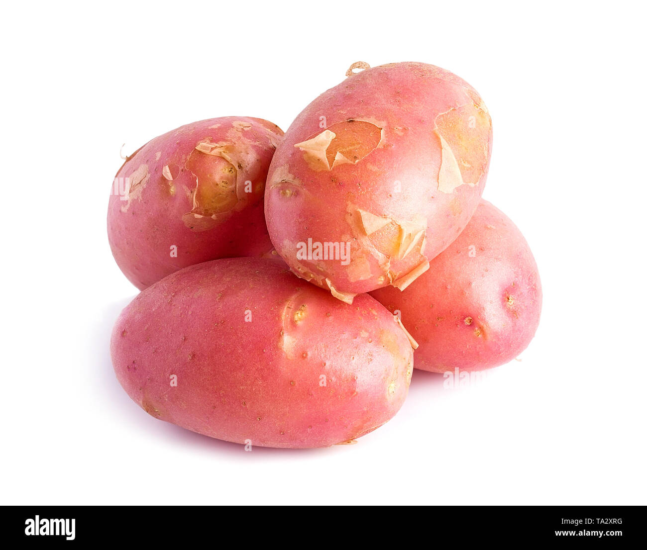 Frische Ernte der roten Kartoffeln auf weißem Hintergrund Stockfoto