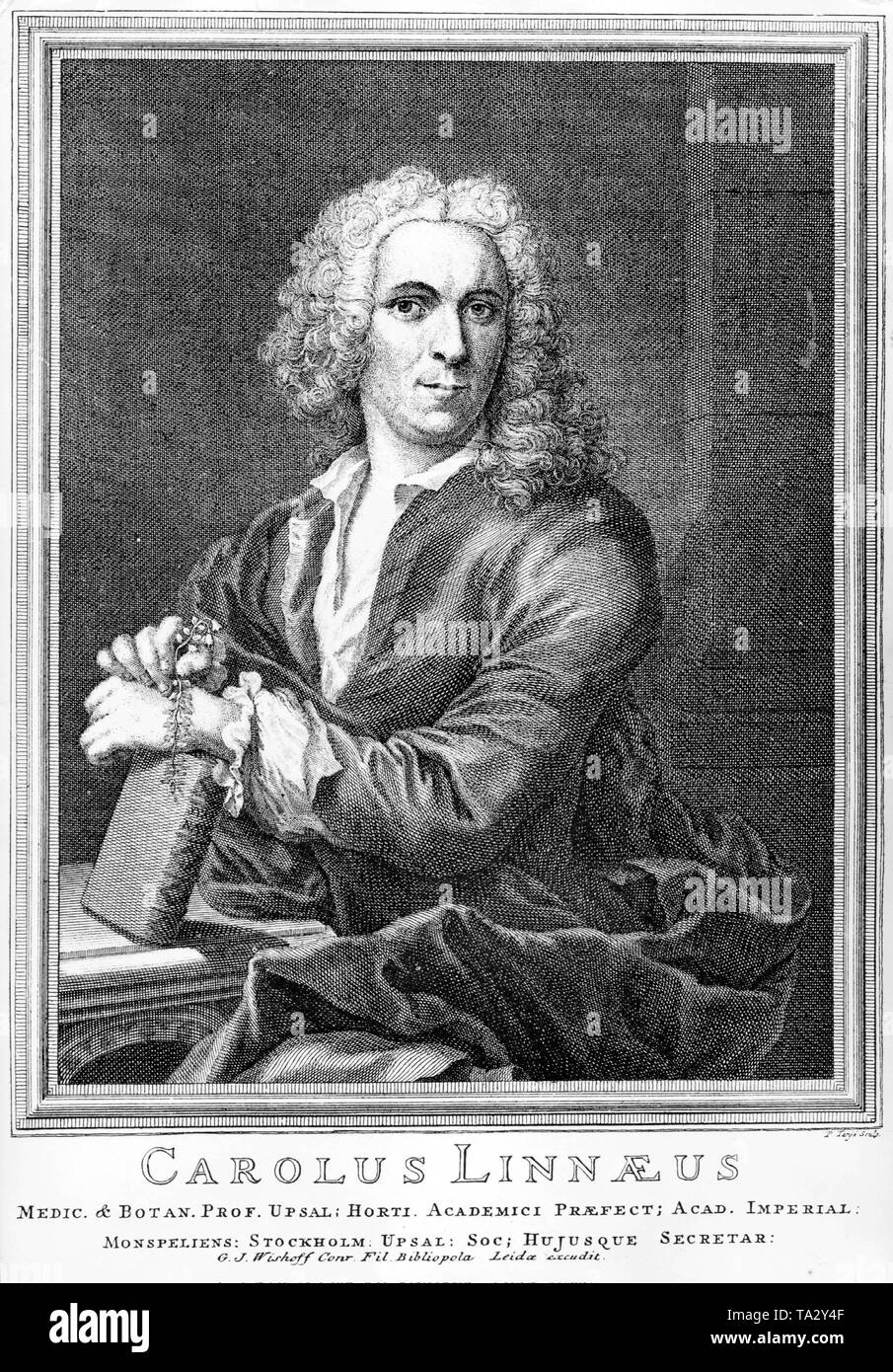 Carl von Linne (seit 1762), zuvor Carolus Linnaeus. In seiner Arbeit ystema Naturae" im Jahre 1735 veröffentlichte er die moderne biologische Klassifizierung. In der 12. Ausgabe seines Buches ystema Naturae" (1766), Linne klassifiziert Menschen zum ersten Mal als "homo sapiens" in Primaten die Reihenfolge'', zusammen mit Schimpansen und Orang-Utans. Stockfoto