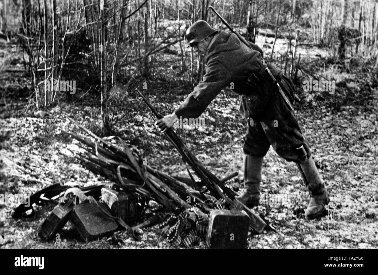 Ein deutscher Infanterist sammelt Russischen Gewehre nach einem erfolgreichen Gegenangriff. Stockfoto