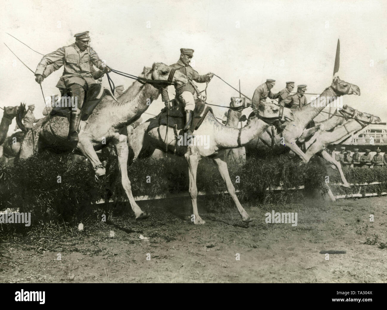 Die Camel Corps der Deutschen Schutztruppen waren vor allem während der Kämpfe gegen die Herero verwendet. Das Foto zeigt camel Riders während ein Hindernis Rennen an einem Training (undatiert). Stockfoto
