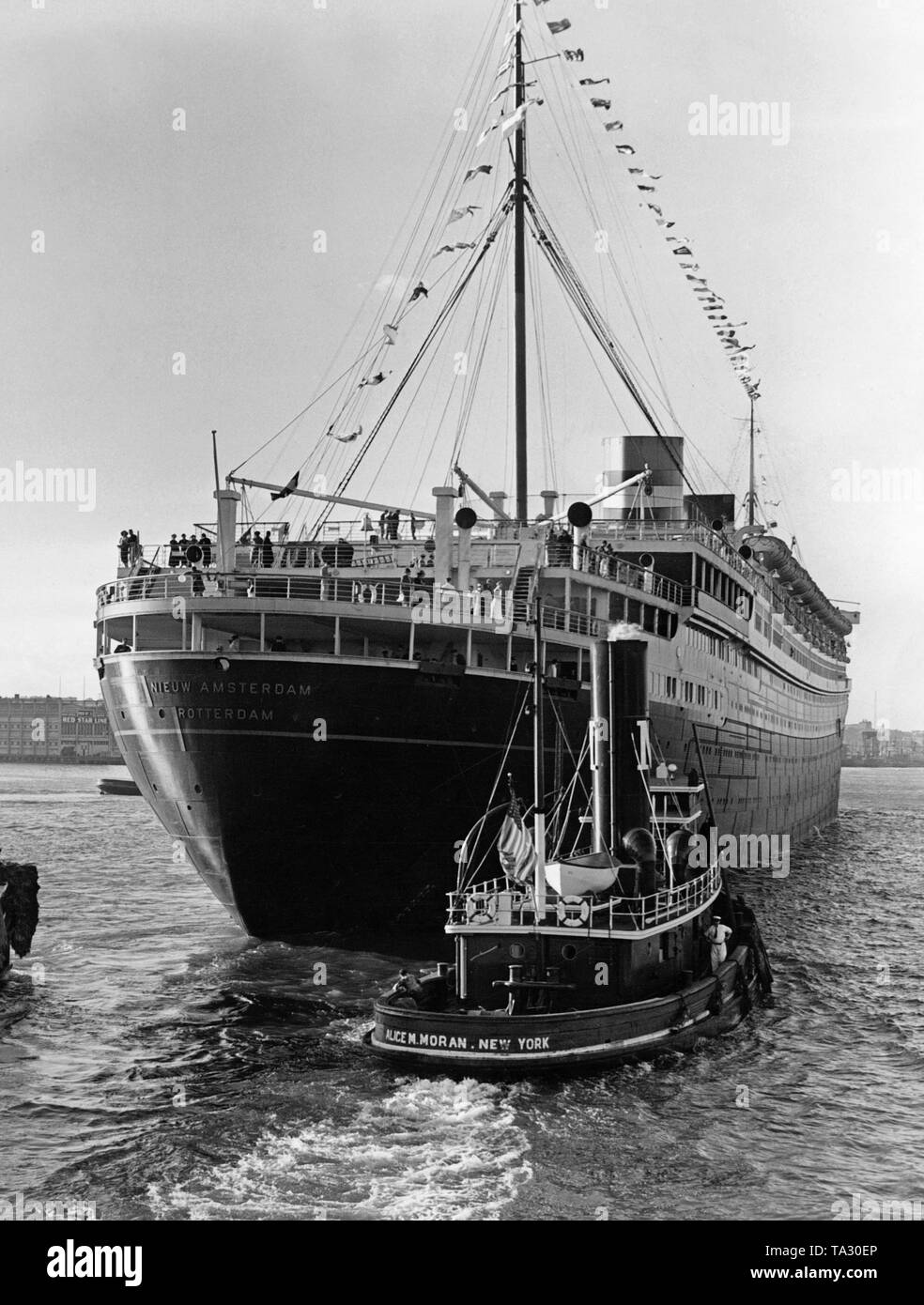Die Turbine Schiff "Nieuw Amsterdam" in den Hafen von New York nach der Jungfernfahrt. Stockfoto