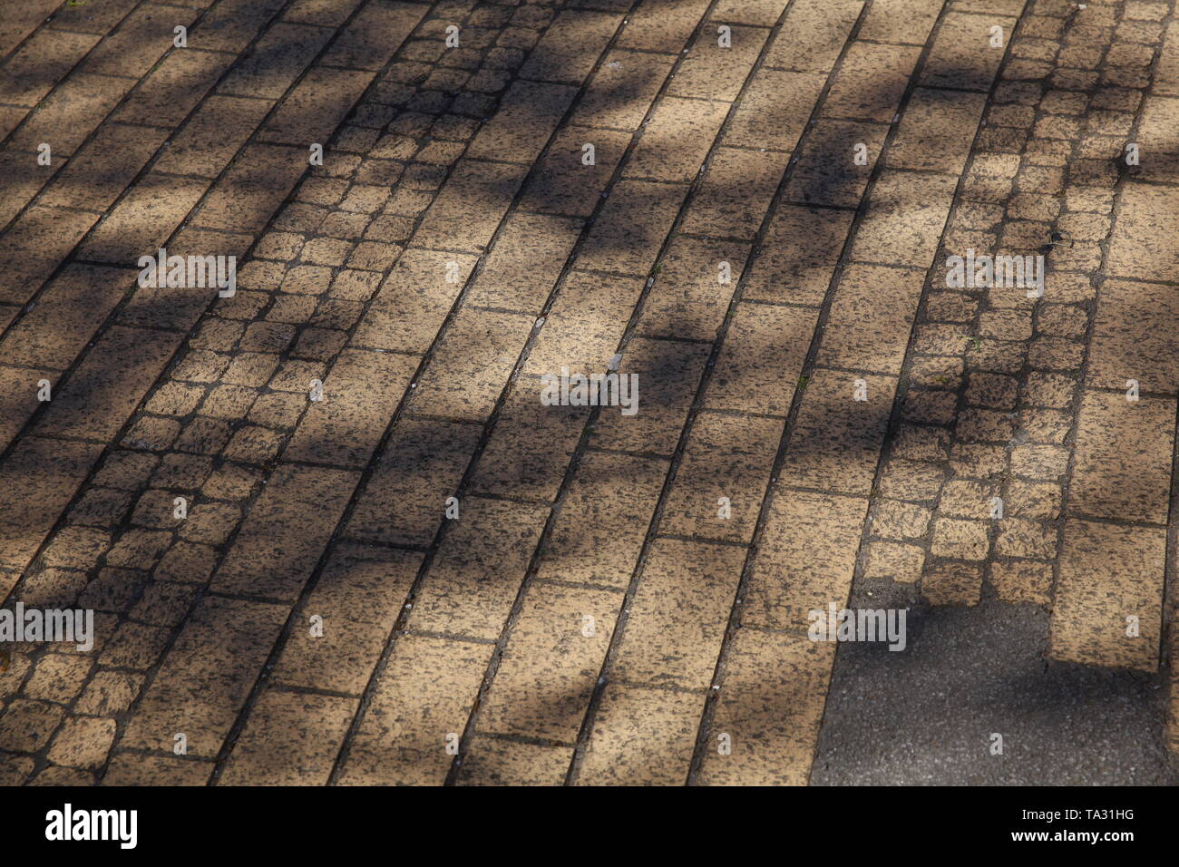 Brick Pfad mit Baum Schatten. Stockfoto