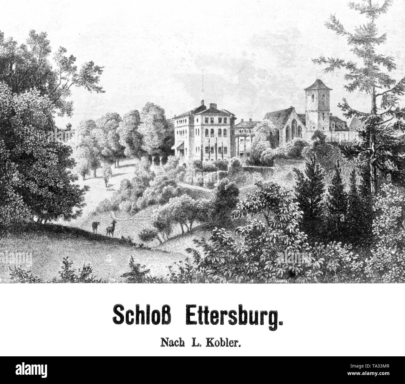 Zeichnung von L. Kobler, das Schloss und Park Ettersburg auf dem Ettersberg bei Weimar, Thüringen. Das Schloss diente als Sommerresidenz der Herzogin Anna Amalia zwischen 1776-1780. Hier erhielt sie Johan Wolfgang Goethe. Undatiertes Foto. Stockfoto