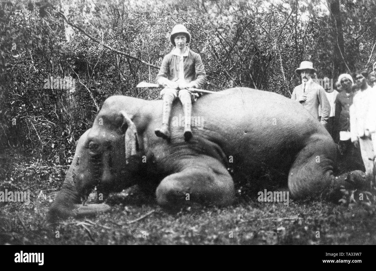 Kronprinz Wilhelm sitzt auf dem Rücken eines Elefanten getötet, während er durch Indien reisen. Stockfoto