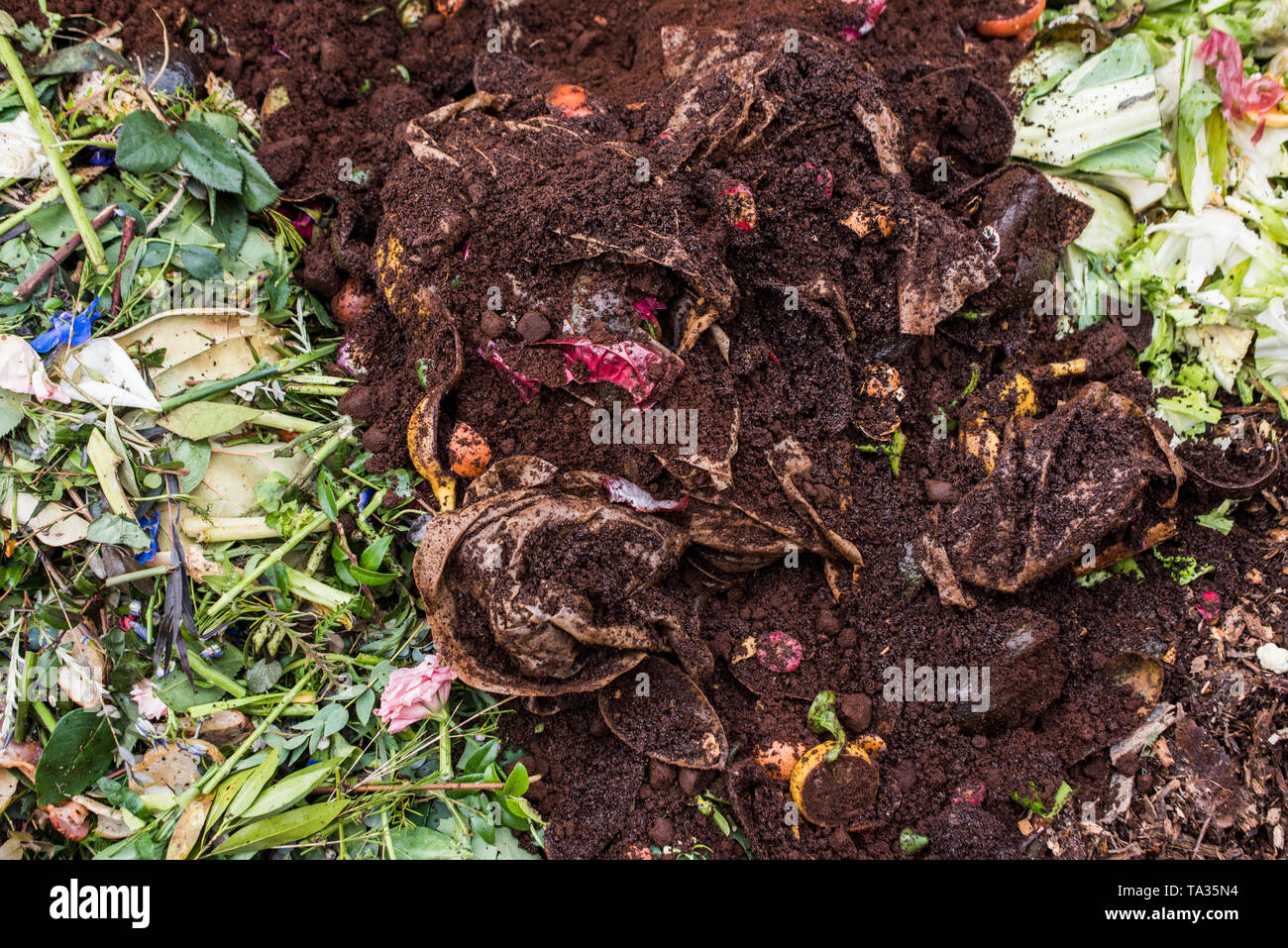 Kompostierung Blumen und andere grüne Materie zusammen mit Küchenabfällen Stockfoto
