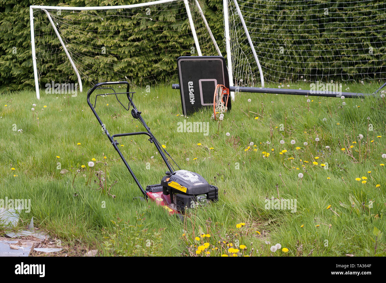 Gebrochene Rasenmäher oder zu beschäftigt, um eine Lebensdauer der Gras im  Sommer so zu schneiden, rasen ist mehr als gewachsen, vernachlässigt, zu  einer Wiese über Urlaub Stockfotografie - Alamy