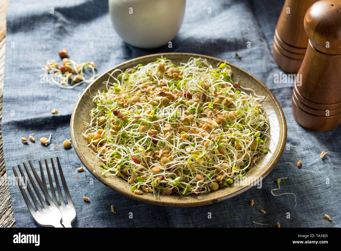 Raw Organic Bean Sprout Salat mit Linsen Stockfoto