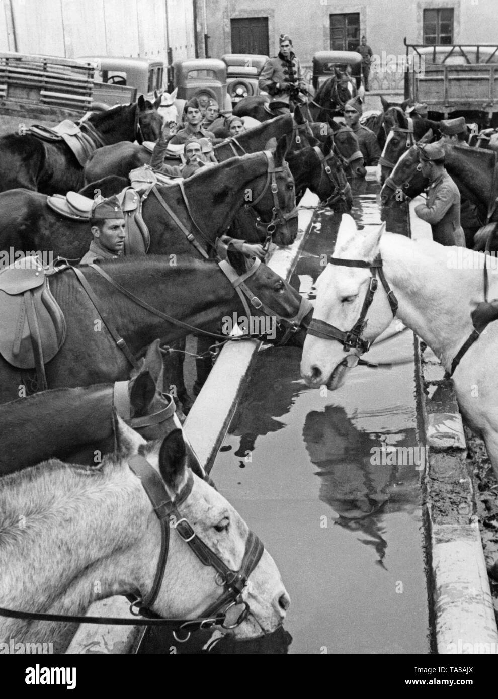 Foto von Trinkwasser Kavallerie Pferde mit Reiter an einer Wasserstelle bei der Ausbildung von Rekruten. Im Hintergrund, die kaserne Gebäude, sowie Autos und Lastwagen. Der Kursleiter (zu Pferd im Dress Uniform) beobachtet die Szene. Stockfoto