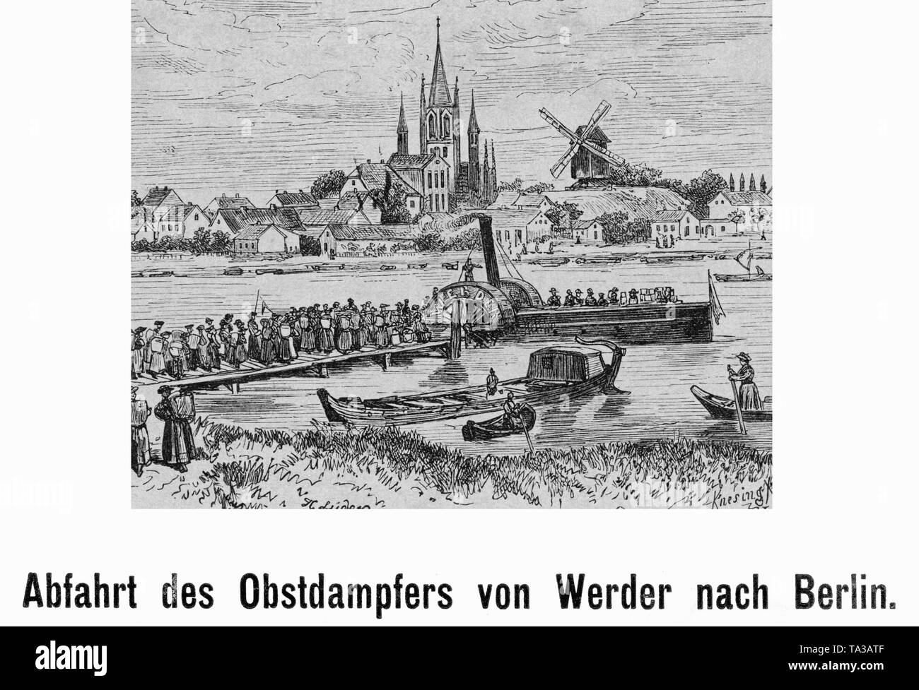 Frucht ist von Werder nach Berlin über die Havel gebracht. Undatiertes Foto aus dem 19. Jahrhundert. Stockfoto