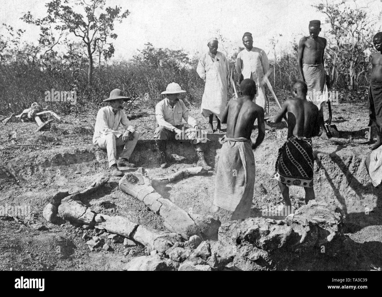 Die einheimischen Arbeiter finden Knochen eines Dinosauriers im Namen von Paläontologen. Stockfoto