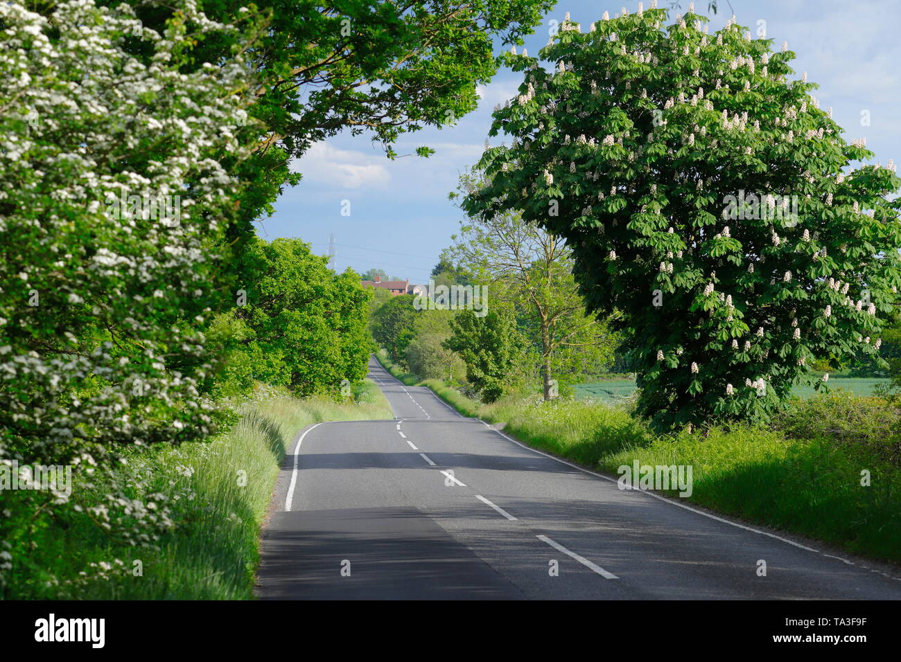 Whitehouse Lane in Swillington, Leeds West Yorkshire Stockfoto