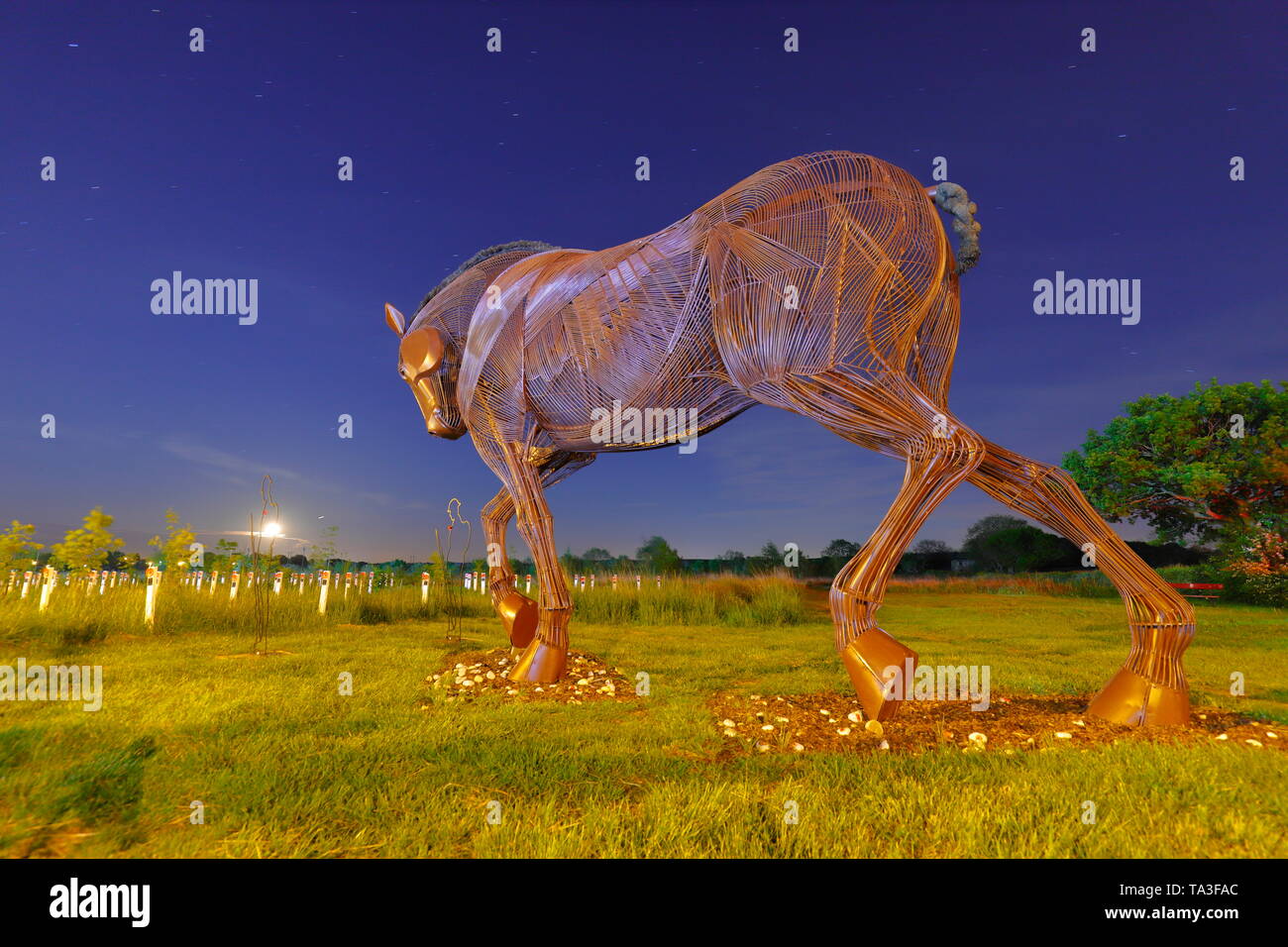 Krieg Pferd & es aber nicht Es Tommy Silhouette Zahlen bei Nacht Stockfoto
