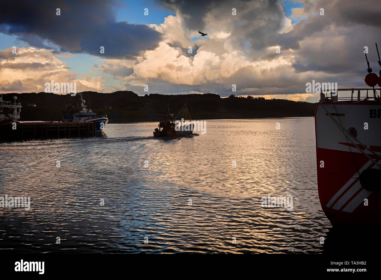 Fischerboote im Hafen von Howth, County Donegal. Es ist der größte Fischereihafen auf der Insel Irland. Stockfoto