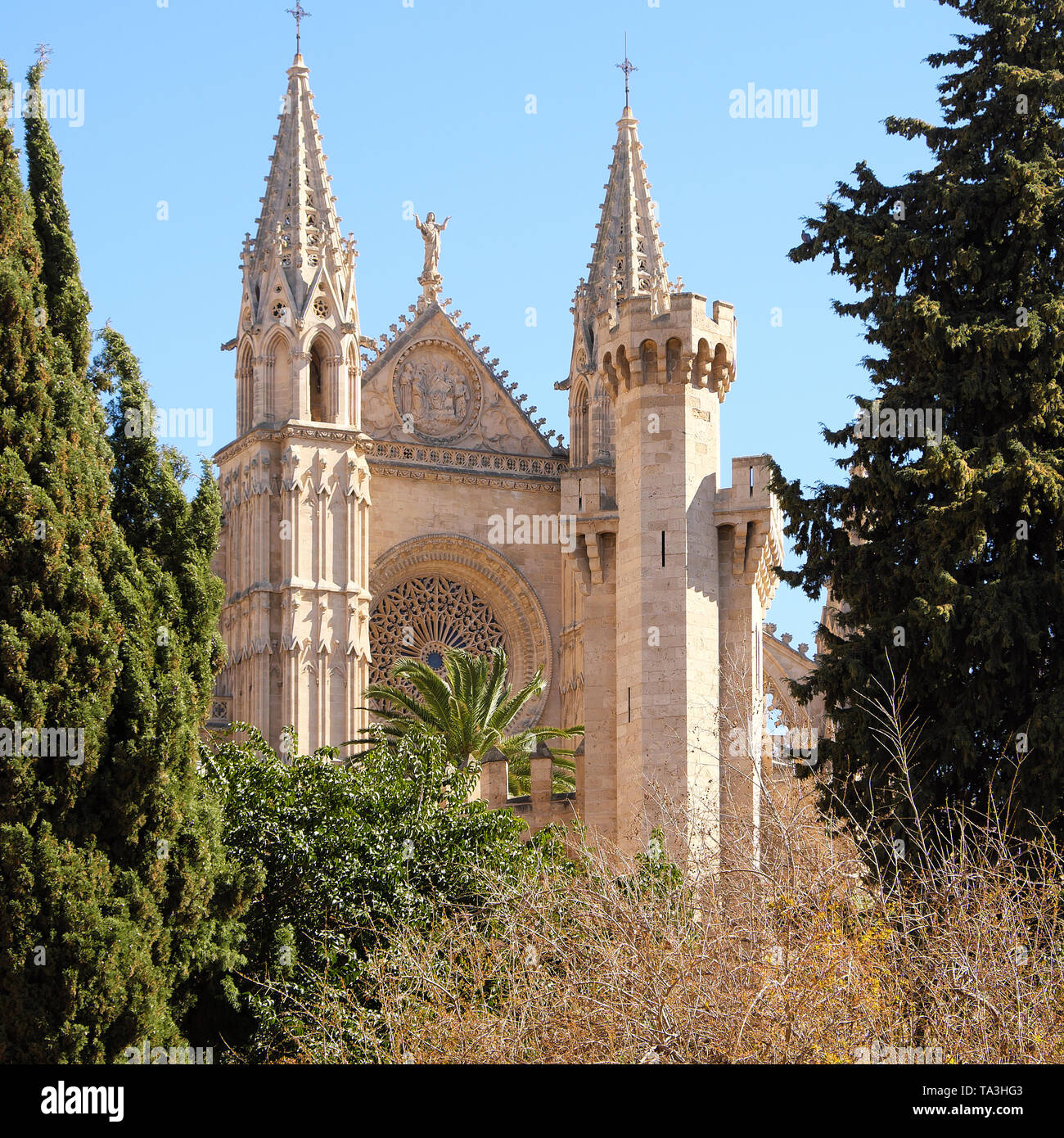 Palma Mallorca Kathedrale Santa Maria La Seu Vorderansicht Rosette Stockfoto