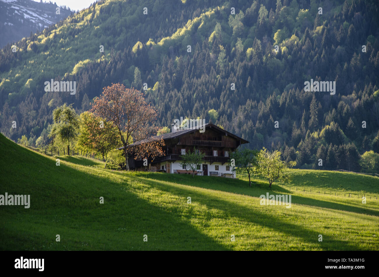 Der Bauernhof liegt auf einem Plateau im Thierseetal Tal im Herzen der Brandenberger Alpen. Stockfoto