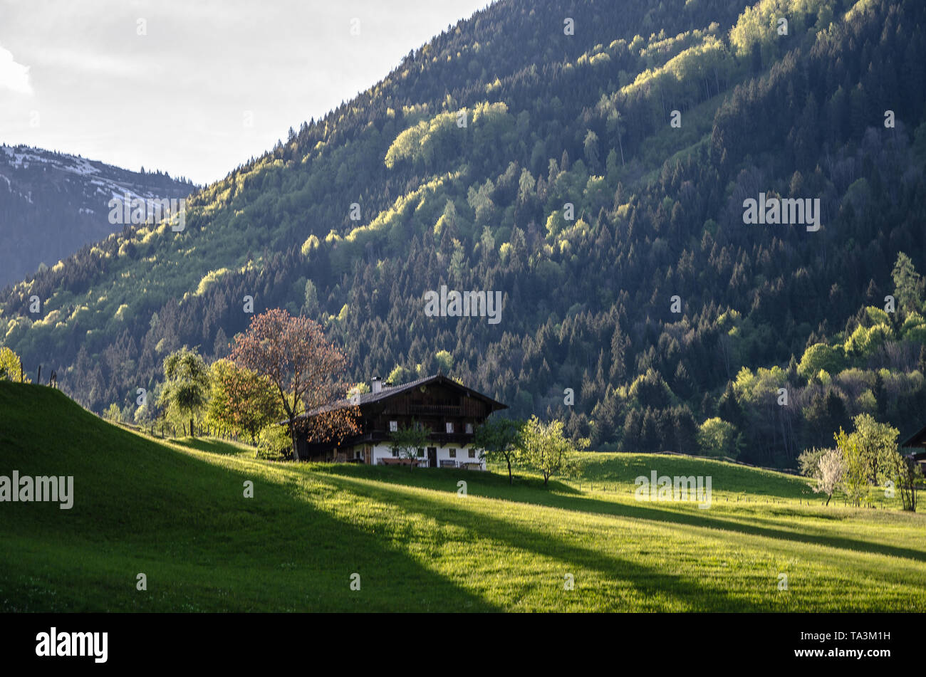 Der Bauernhof liegt auf einem Plateau im Thierseetal Tal im Herzen der Brandenberger Alpen. Stockfoto