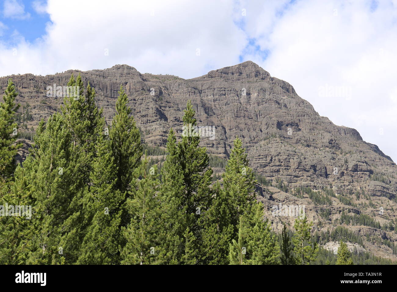 Steilen Berg mit immergrünen Bäumen im Vordergrund Stockfoto