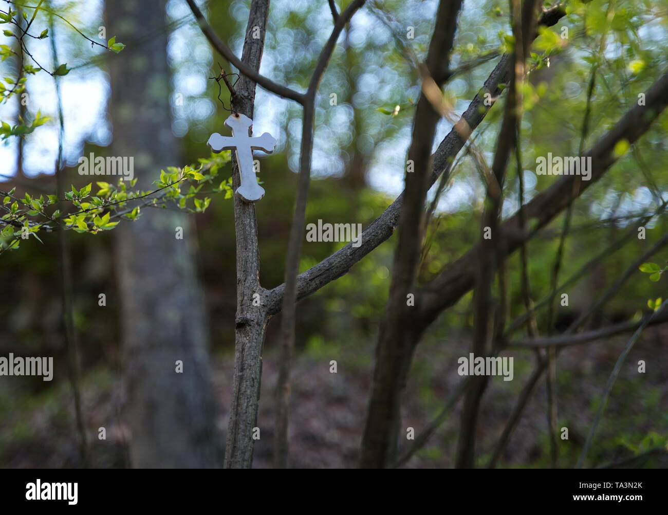 Ein Kreuz hängen draußen auf einem Baum an einem Fluss mit Wasser Ebenen steigender mit einer alarmierenden Rate. Vielleicht ein Gebet für die globale Erwärmung könnte helfen. Stockfoto