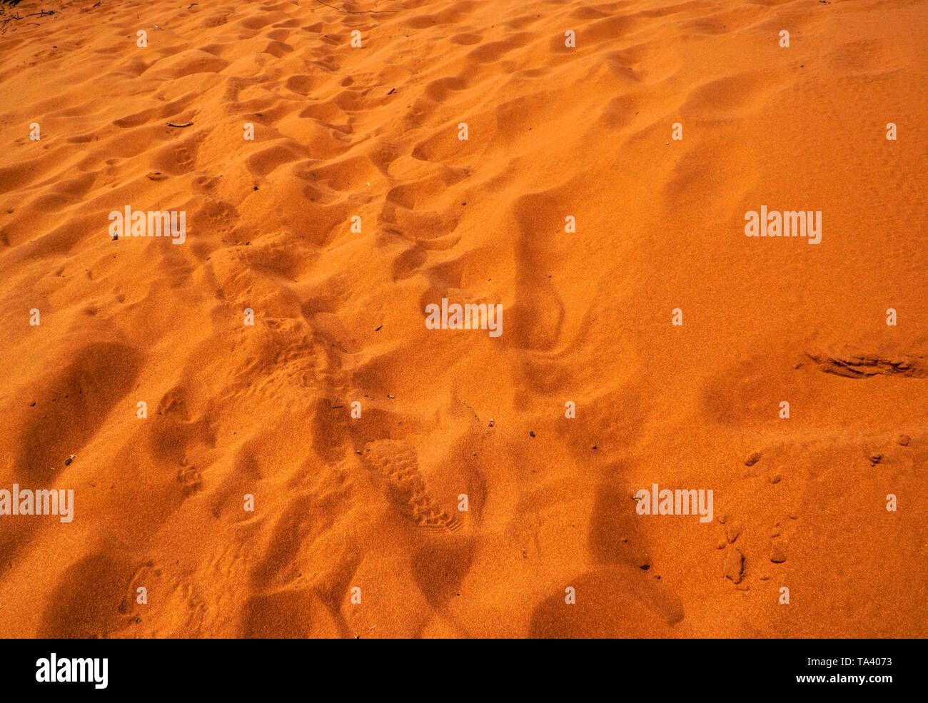 Outback Australien orange leuchtenden Sanddünen am Cape Peron Stockfoto