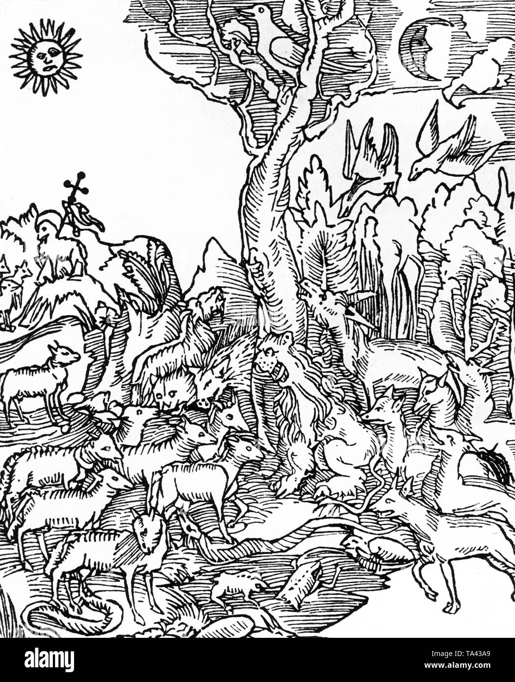 Mythisches Bild, die 'Wittembergische Nachtigall" (Wittemberg Nachtigall) aus einem Gedicht von Hans Sachs. Dies ist eine allegorische Gedicht mit Inhalt Unterstützung der Reformation. Stockfoto
