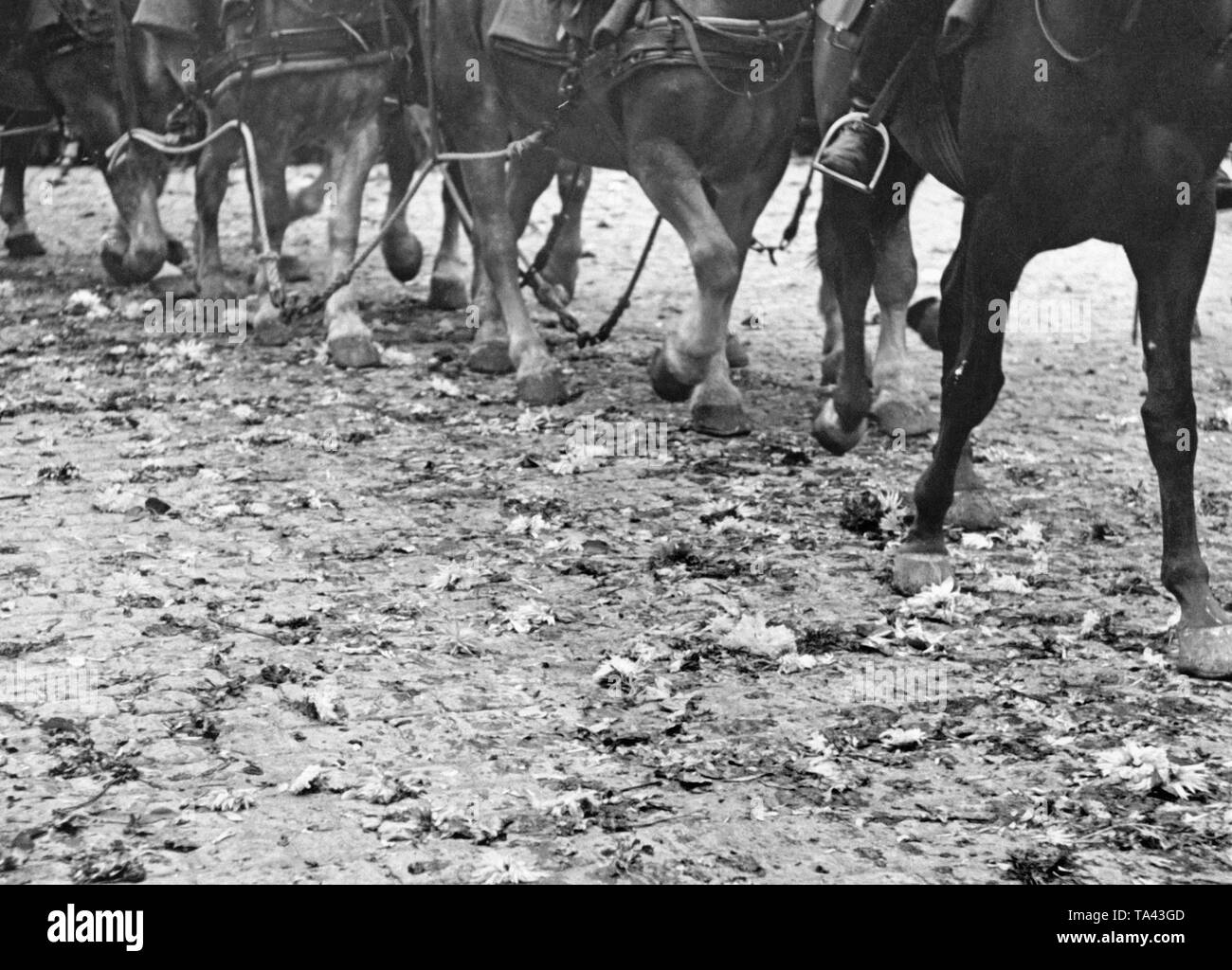 Sudetenland besetzung Fotos und Bildmaterial in hoher Auflösung Alamy